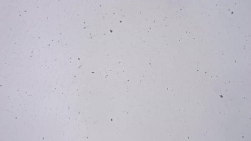 4K Schnee