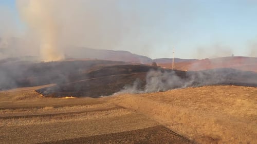 Aerial View of Spring Dry Grass Burning field. Fire and Smoke in the Meadow, Nature Pollution