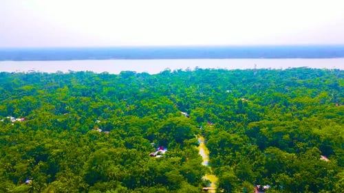 Aerial Pan Over Lush Amazon Rainforest