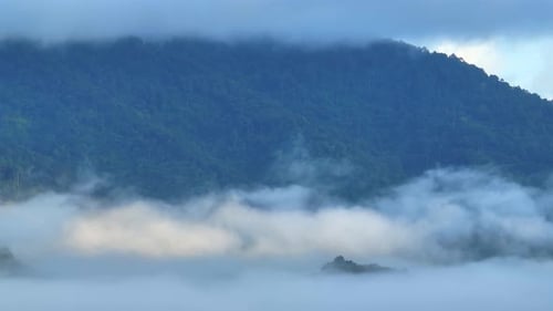 From above, the fog-covered tropical forest and its distant mountain.