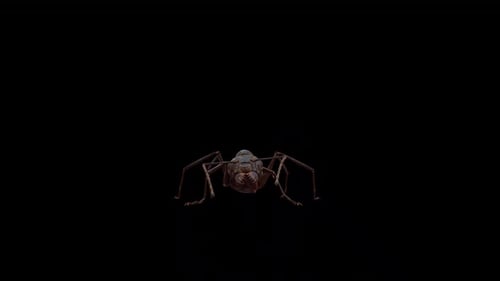 Realistic 3D Ant Creature Struggling Animation