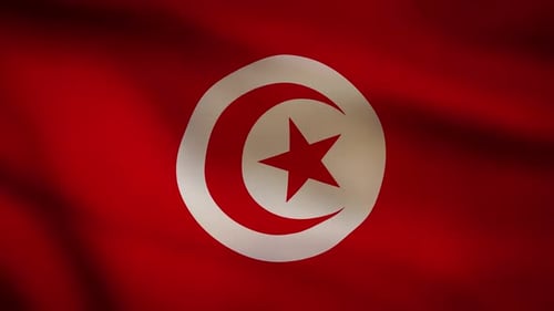 Realistic Waving Flag of Tunisia Seamless Loop