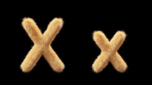 Animation 3D d'une lettre X majuscule et minuscule en laine Chick