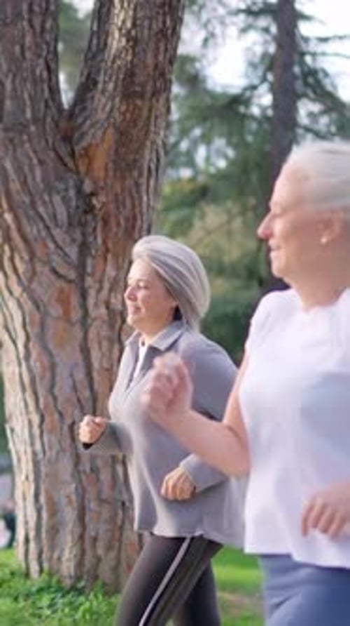 Group of Senior Friends Jogging Outdoors in the Park