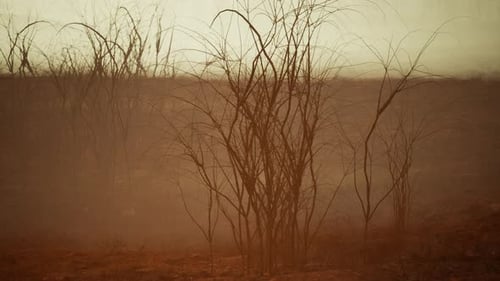 Tempestade de poeira e areia no deserto
