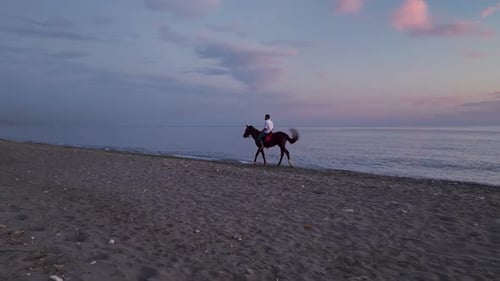 Luftaufnahme: Serenaden bei Sonnenuntergang, Pferdereise am Meer