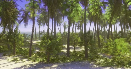 Animated Tropical Beach With Palm Trees And Ocean Background