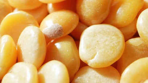 Detailed Close-up of Yellow Split Peas
