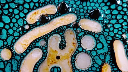 plan de motifs liquides vibrants formant des textures organiques en mouvement abstrait