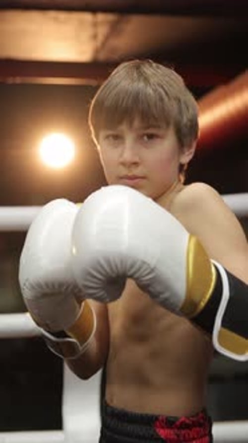 Kleiner Boxer hebt seine Handschuhe in einer Kampfhaltung