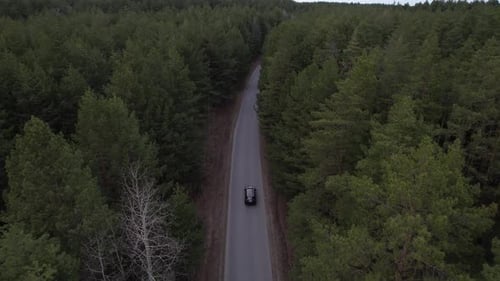 Schmale Autobahn im Pinienwald