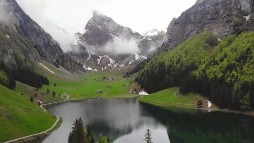 Hd Lush Green Mountains In Summer Season