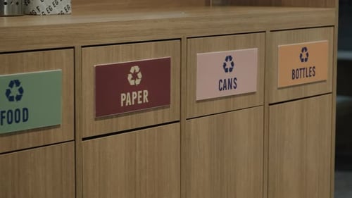 Recycling a Plastic Bottle in Office Sorting Bins