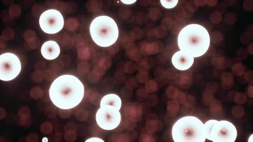 Vírus sob a visão microscópica da educação