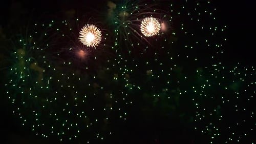 Beautiful Colorful Fireworks Bursting at Night