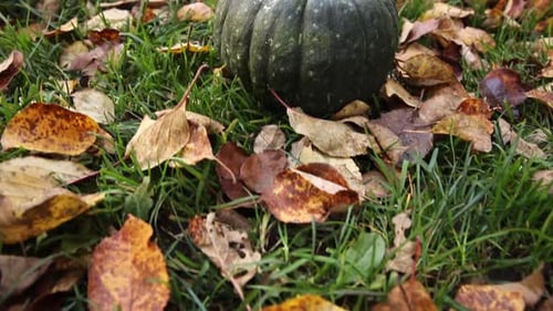 Autumnal Background