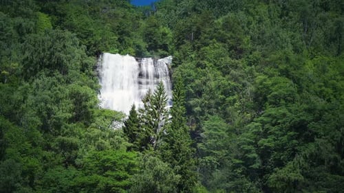 One of the many beautiful waterfalls in the Geiranger fjord, Norway. Surrounded by dense green fores