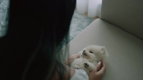 Woman Pets Fluffy Puppy on Sofa at Home