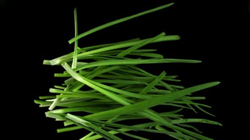 Green Onions Fly Up and Fall Down on a Black Background Filmed on a Highspeed Camera at 1000 Fps