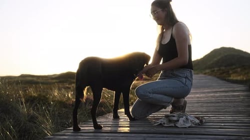 Woman Petting Dog Outdoors in Golden Sunset Light