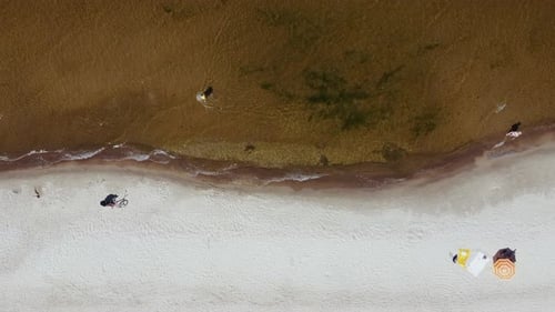 The people in the beach aerial