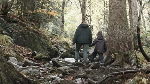 Hikers Mother and Child Hiking Up the Extreme Hill Covered with Tree Roots at Fall Creative Walking