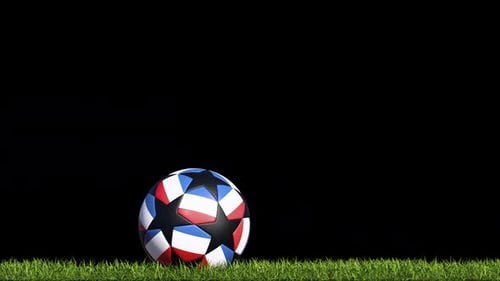 Netherlands Soccer Ball On The Grass