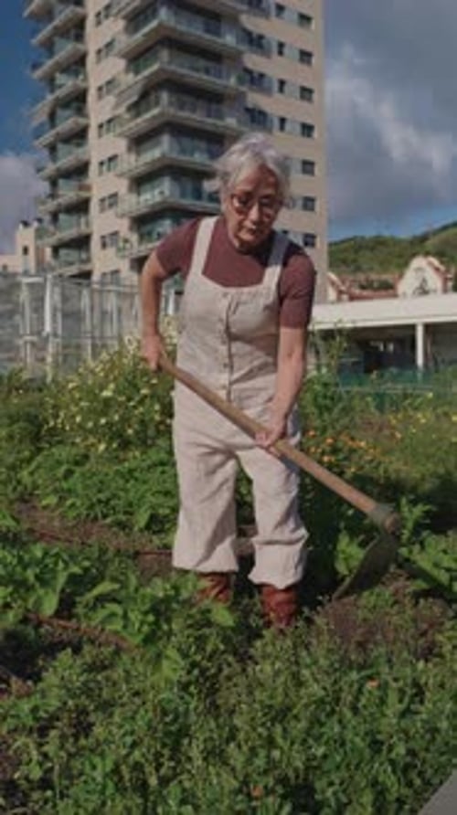 Fermier senior binant un potager au ralenti