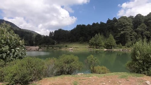 See mit grünem Wasser im Park, umgeben von Bäumen