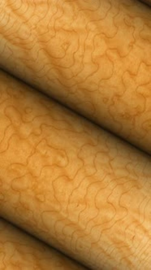 Bûches en bois d'érable matelassées, texture et fibres naturelles