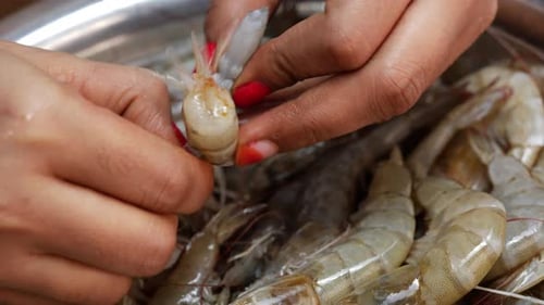 Hands Peeling Raw Shrimp in Kitchen