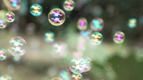 Iridescent Soap Bubbles Floating in Natural Light