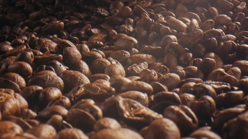 Roasted Coffee Beans Close Up with Steam