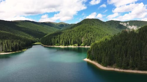 Aerial view of blue lake and green forests. Mountain forest lake with pine trees. View on the lake b