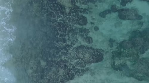 Top Down Drone View of turquoise clear water and crashing waves over shallow coral reef in Uluwatu B