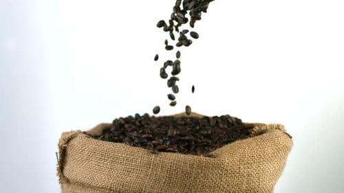 Coffee Beans Falling Into Burlap Sack on White