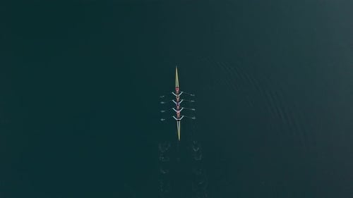 Top View Rowing Team Of Young Athletes In Halifax Bay At Sunrise
