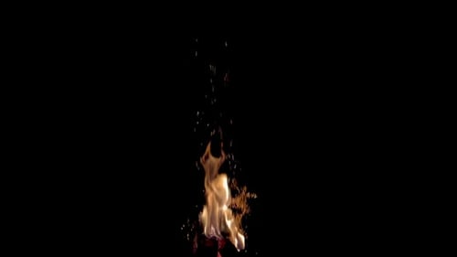 Zeitlupe der Flammen aus Brennholz