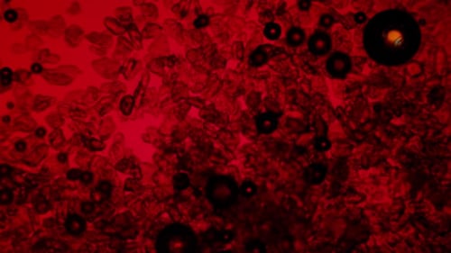 Red Microscopic Particles and Bubbles Fluid Animation