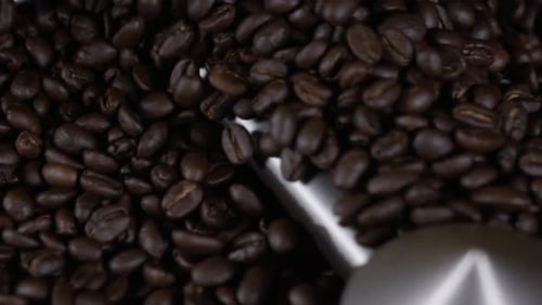 Gourmet Coffee - Beans roasting in coffee factory