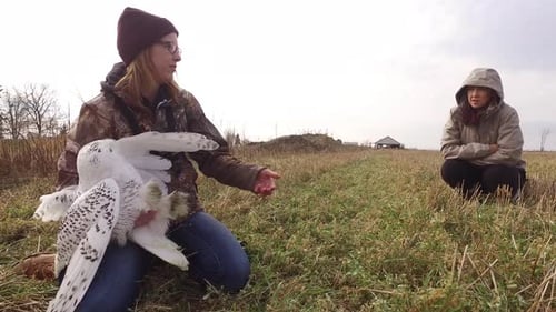 Woman Holding Snowy Owl in Rural Field