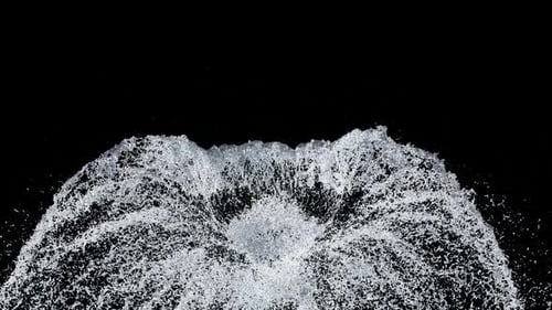 Splash