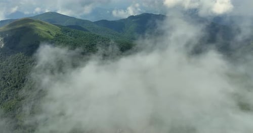 Flying trough white fluffy clouds above green mountain peaks. Beautiful summer sunny day on the high
