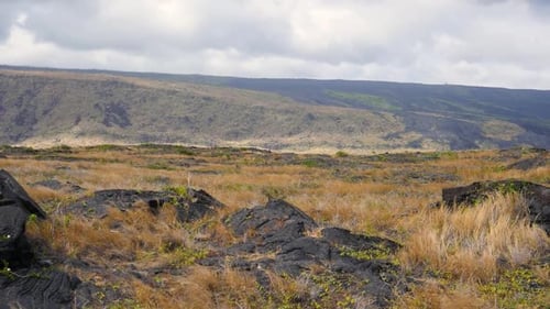 Zeitlupenaufnahme der Hänge eines der Vulkane auf Hawaii Island mit spärlicher Tundravegetation
