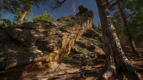 Landscape View of Nature