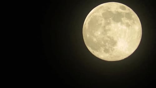 Animated Bats Fly By Full Moon Night