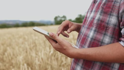 Close Up View of Young Adult Farmer Male Using Digital Tablet in a Wheat Field