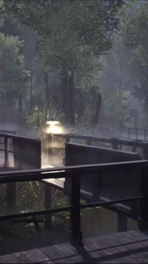 Old Bridge Still Vertical 02