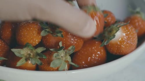 Fresh Strawberries in a Bowl, Close Up