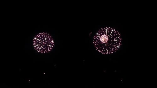Fireworks Farbe Rosa